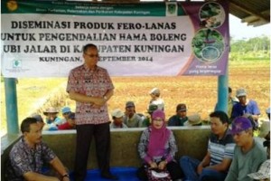 Kadis Perttanian, Ir Bunbun Budhiasa saat mensosialisasikan tekhnilogi fero lanas.